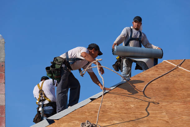 Best Flat Roof Repair Services  in Cherry Valley, IL