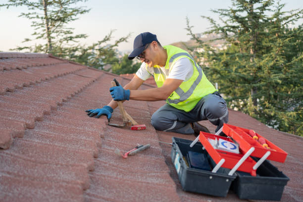 Best Roof Gutter Cleaning  in Cherry Valley, IL